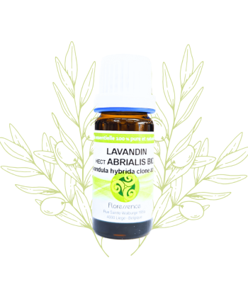 H.E. de lavandin abrialis...