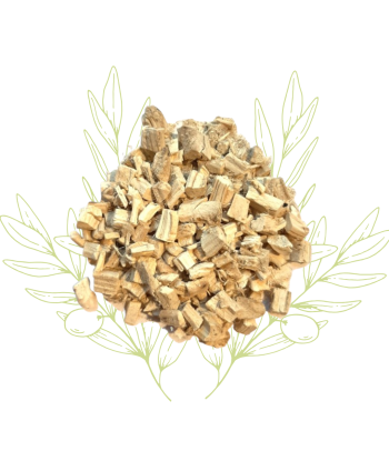 Guimauve (racine) - Altheae...