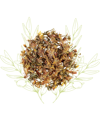 Millepertuis séché -...