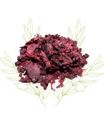 Coquelicot séché - papaver...