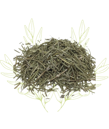 Genévrier (feuilles sèches)...