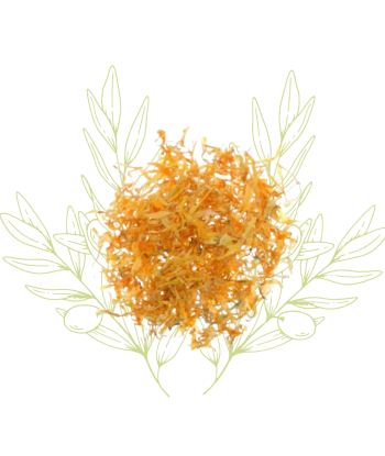 Souci séché - Calendula...