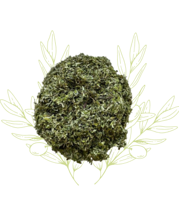 Armoise vulgaire séchée –...