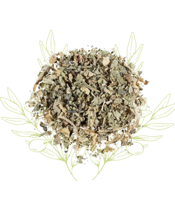 Chardon-marie (feuilles...