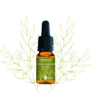 Elixir Floral d'Olivier -...