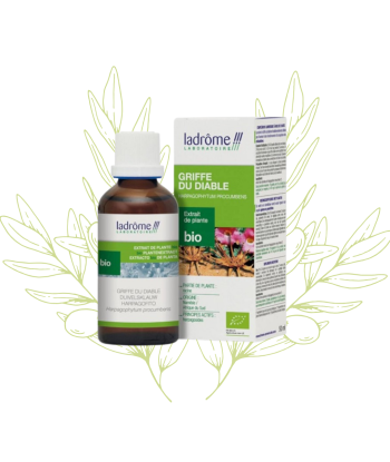 Complément Menoton -...