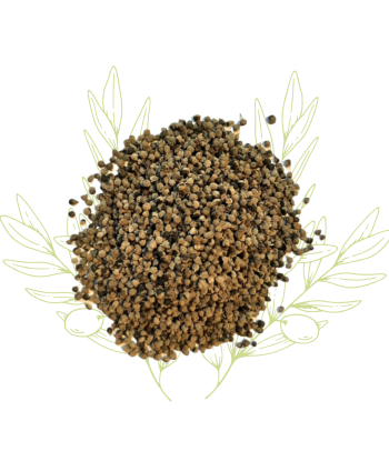 Gattilier (baies séchée) -...